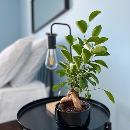 Apartamenty Rynek 7 Цешин Экстерьер фото