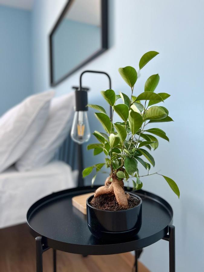 Apartamenty Rynek 7 Цешин Экстерьер фото